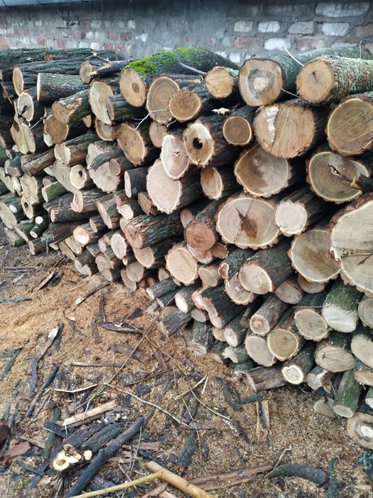 Продам дрова твердых пород