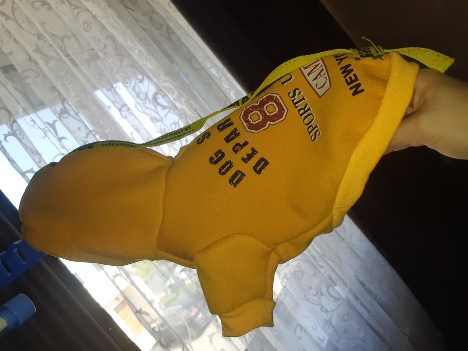 Одежда для собачки