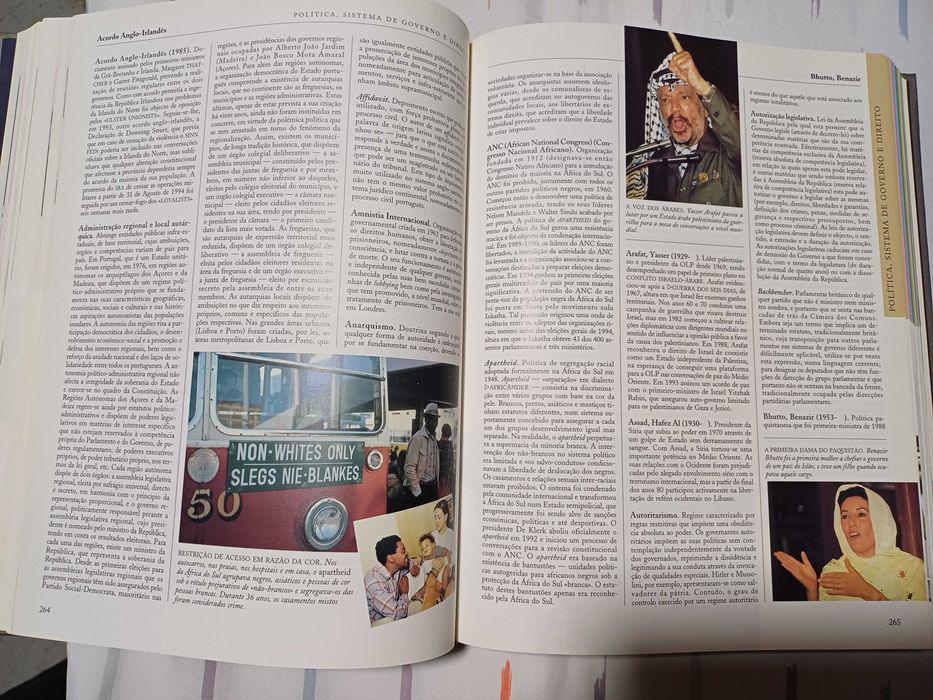 Dicionário Ilustrado do Conhecimento Essencial