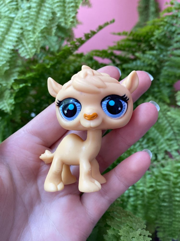 LPS Littlest pet shop wielbłąd #2791