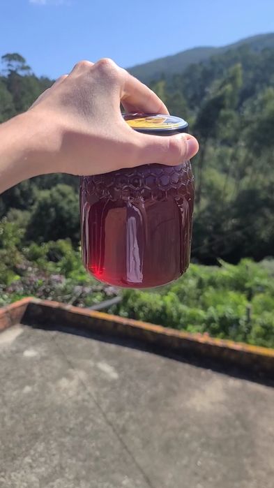 Vendo Mel de 1kg - Puro