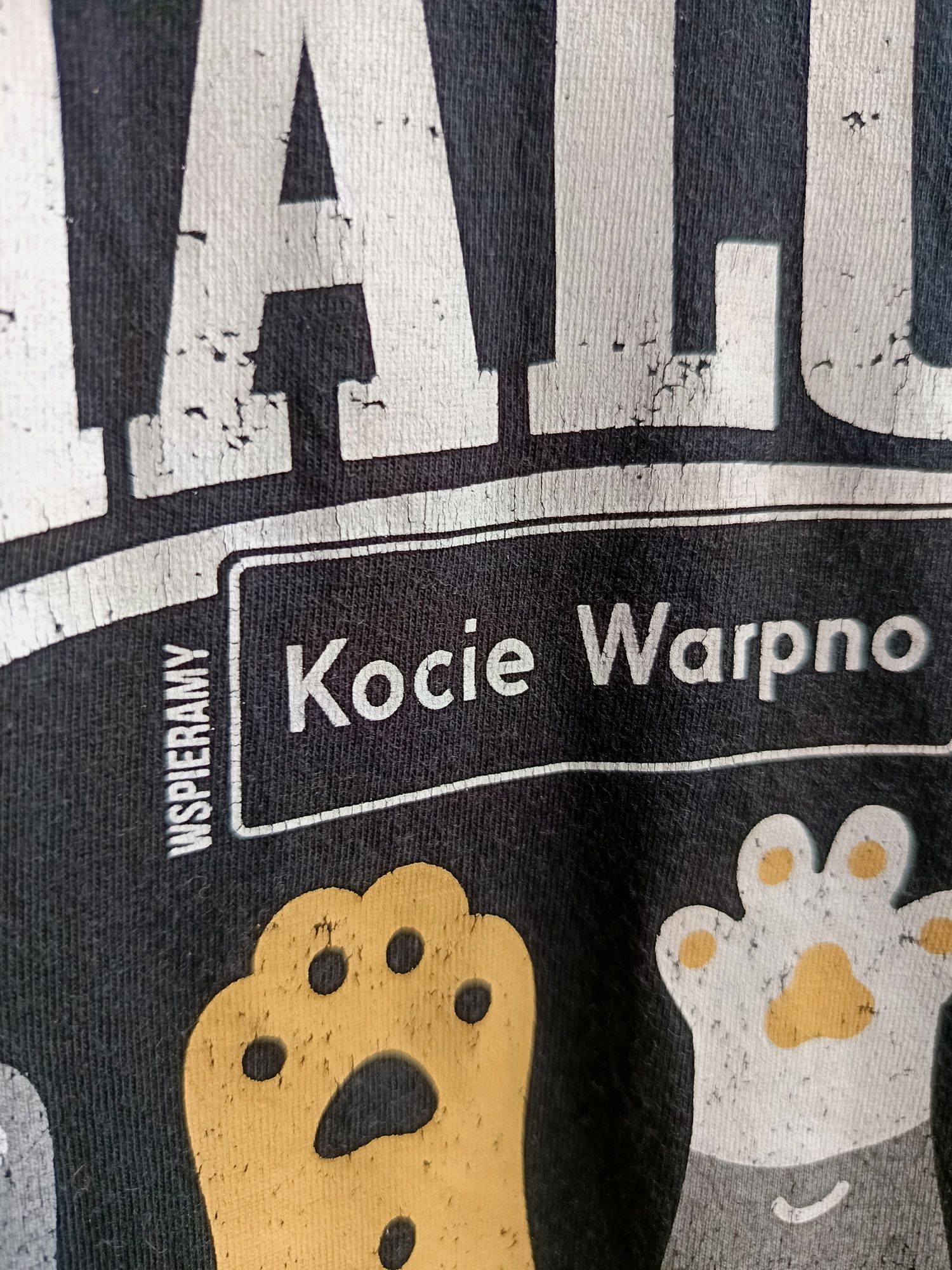 Koszulka T-shirt The Analogs A.C.A.B All Cats Are Beautiful Kocie Warp