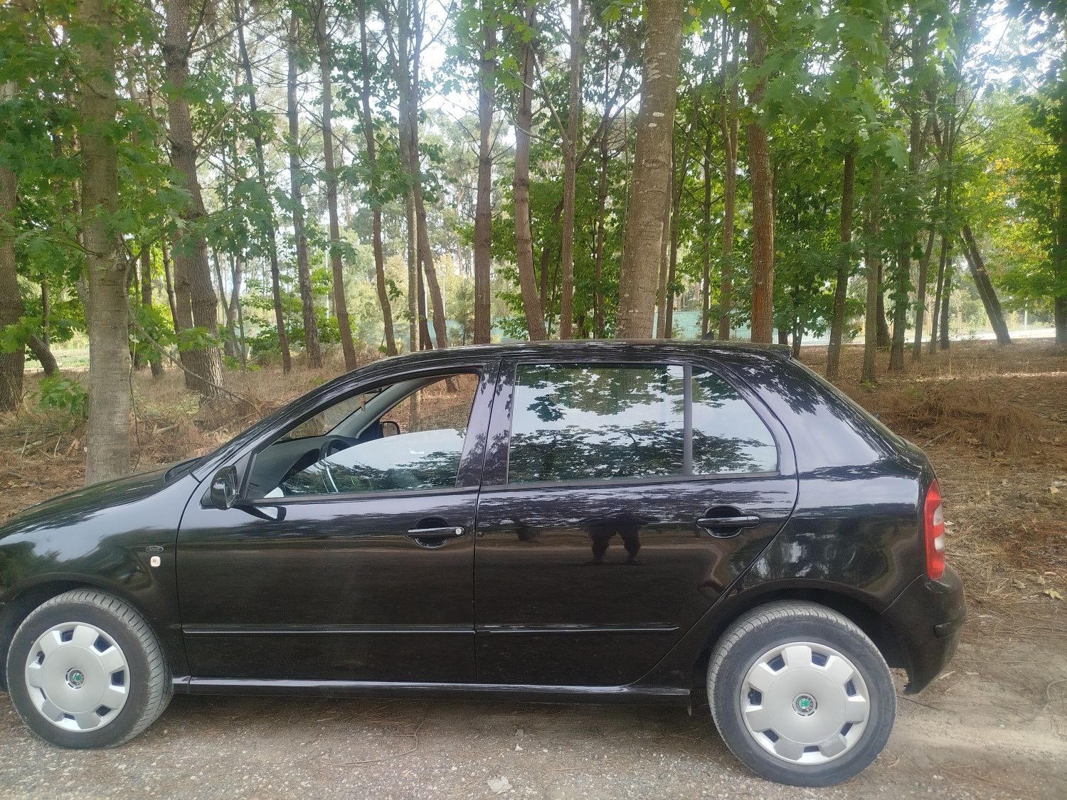 Skoda fabia 2002