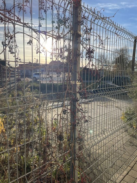 Oddam za darmo palete kartonow