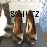 Shutz туфли