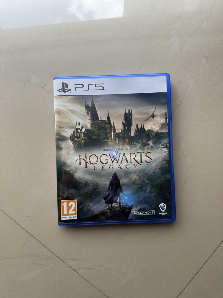 Hogwarts Legacy ps5