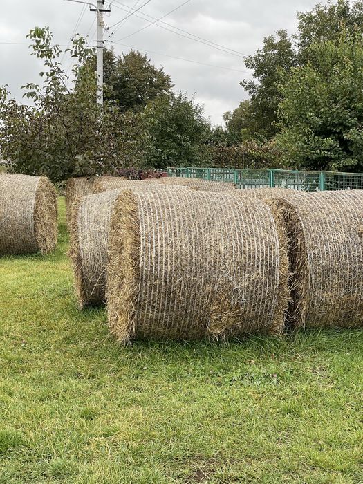 Солома в тюках 2025-го року врожай