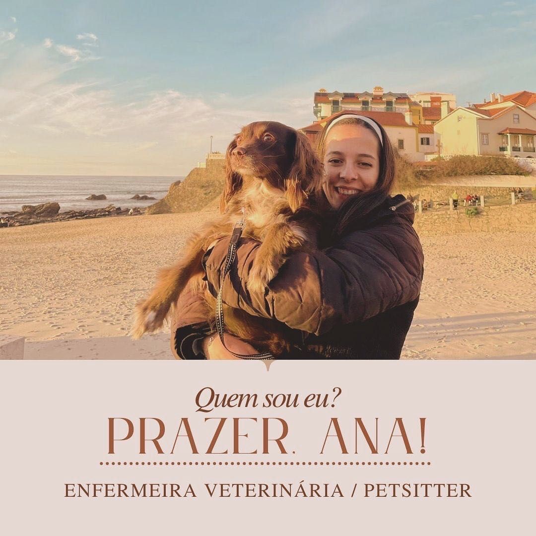 Pet Sitting e Passeios