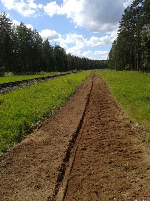 wycinka drzew, lasów odkupimy drzewo CAŁE PODLASIE