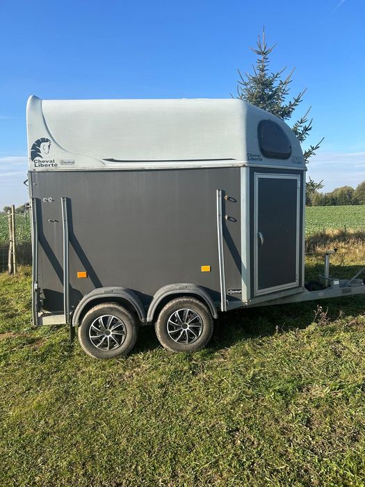 Przyczepa do koni  z 2005 roku dmc 2000 kg