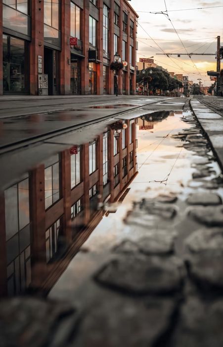 Zestaw fotografoczny sony alpha a7 iv i nie tylko