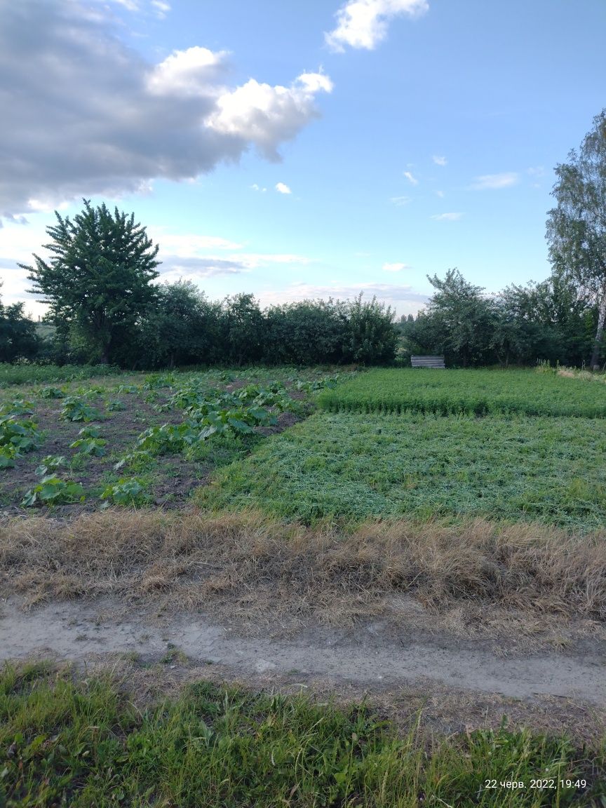 Продам будинок в смт.Мар'янівка!Три види опалення !