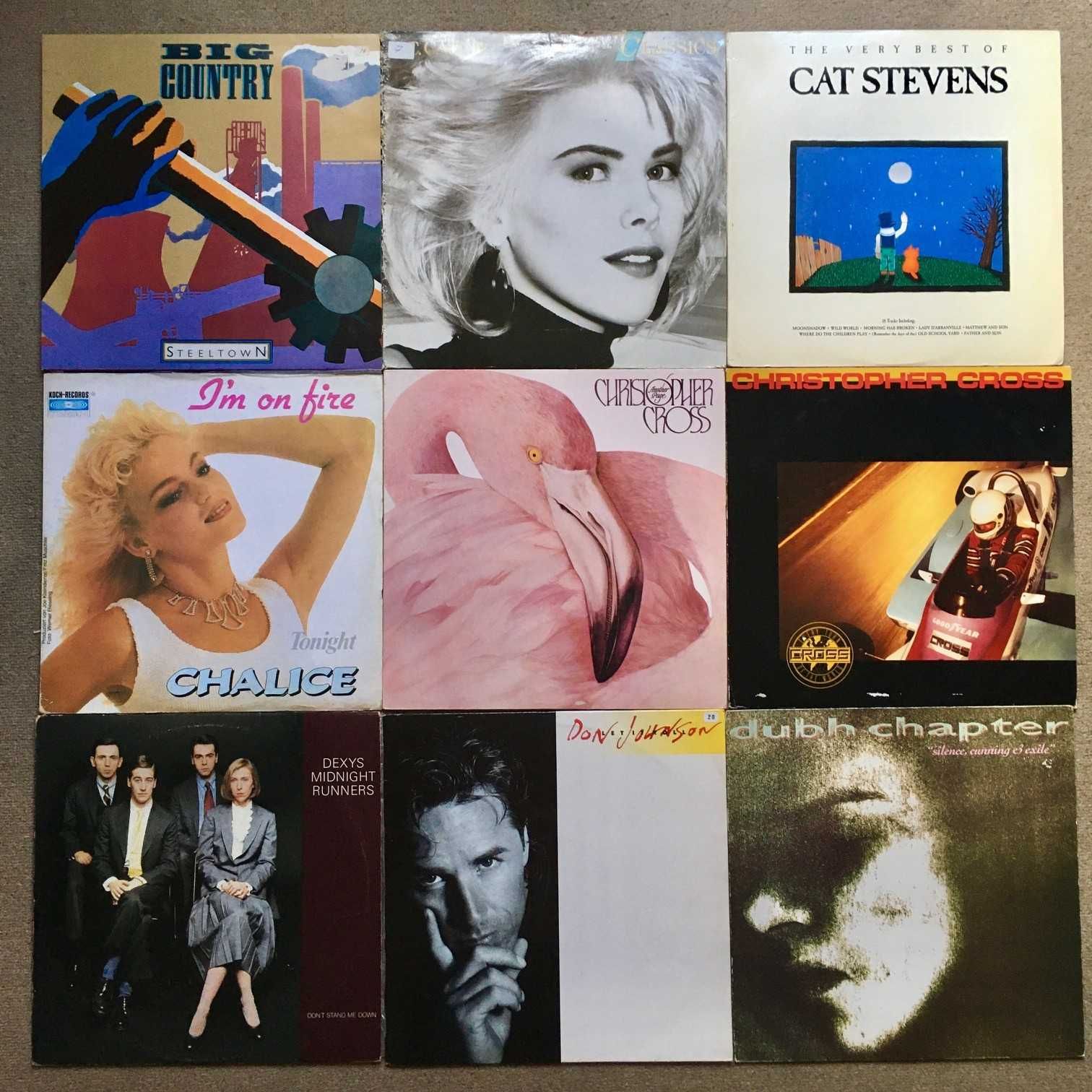 Discos vinil LP álbuns - anos 80 90