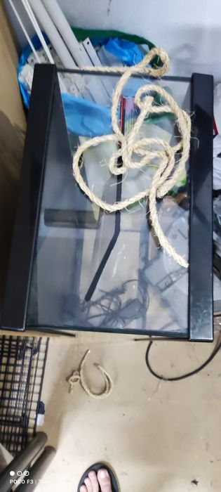 Terrário para tartarugas