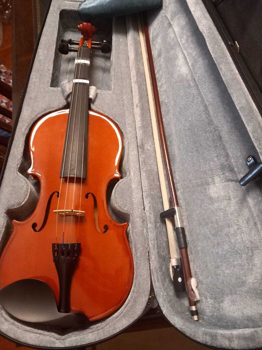 Violino 1/2 52cm