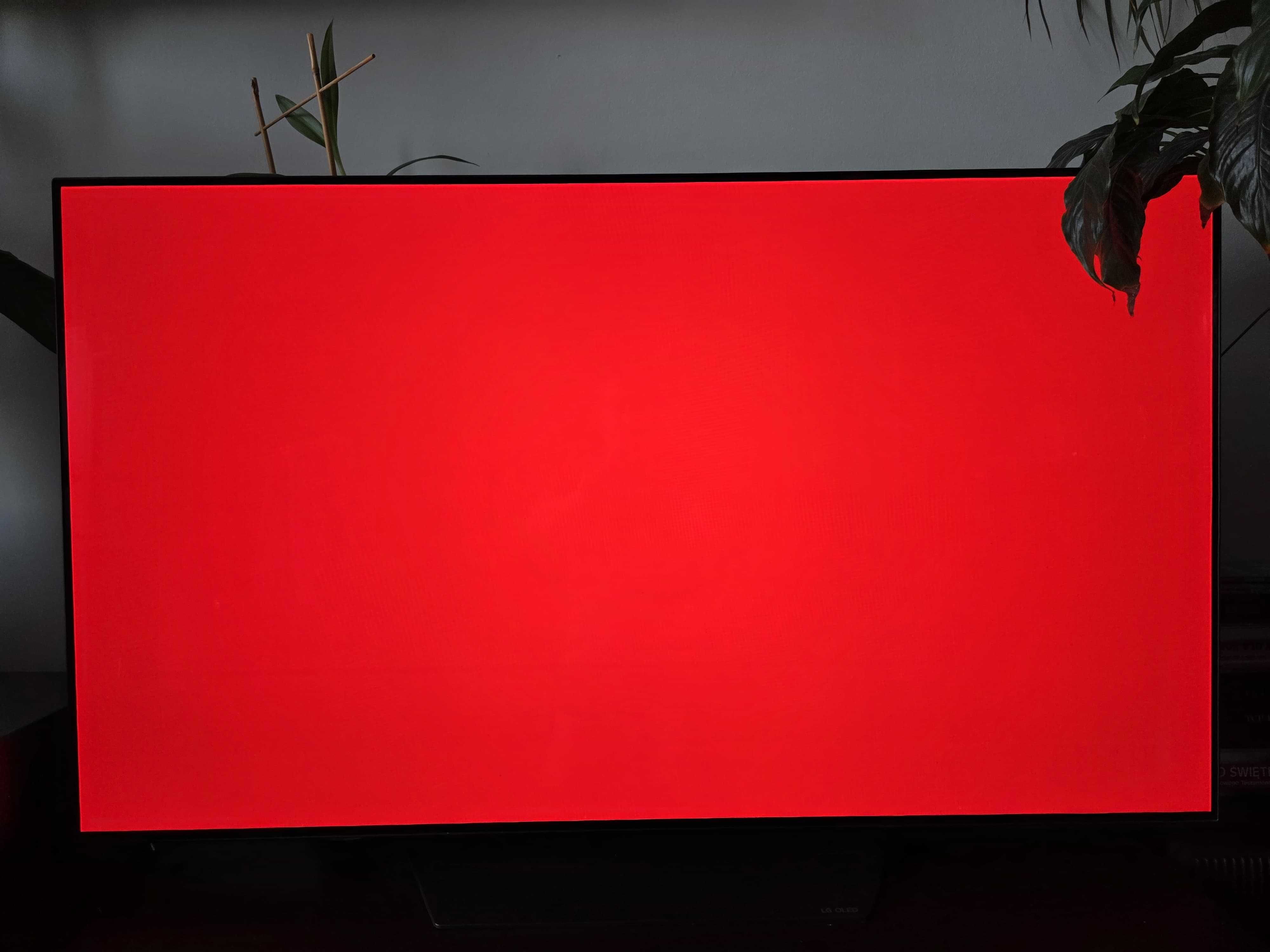 Fantastyczny LG OLED 55" B9, 120Hz, HMDI 2.1. w bardzo dobrym stanie.