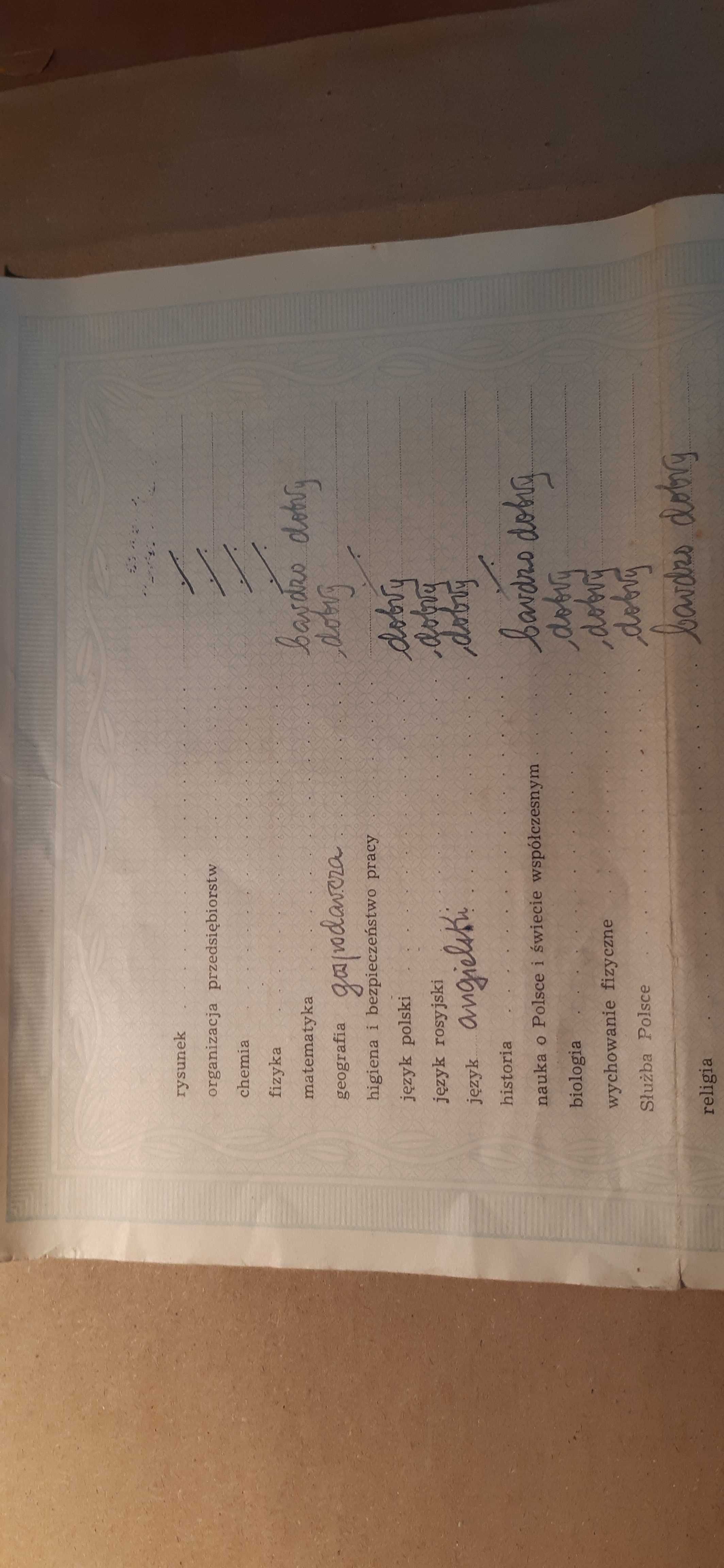stary dokument świadectwo szkolne będzin 1951 rok