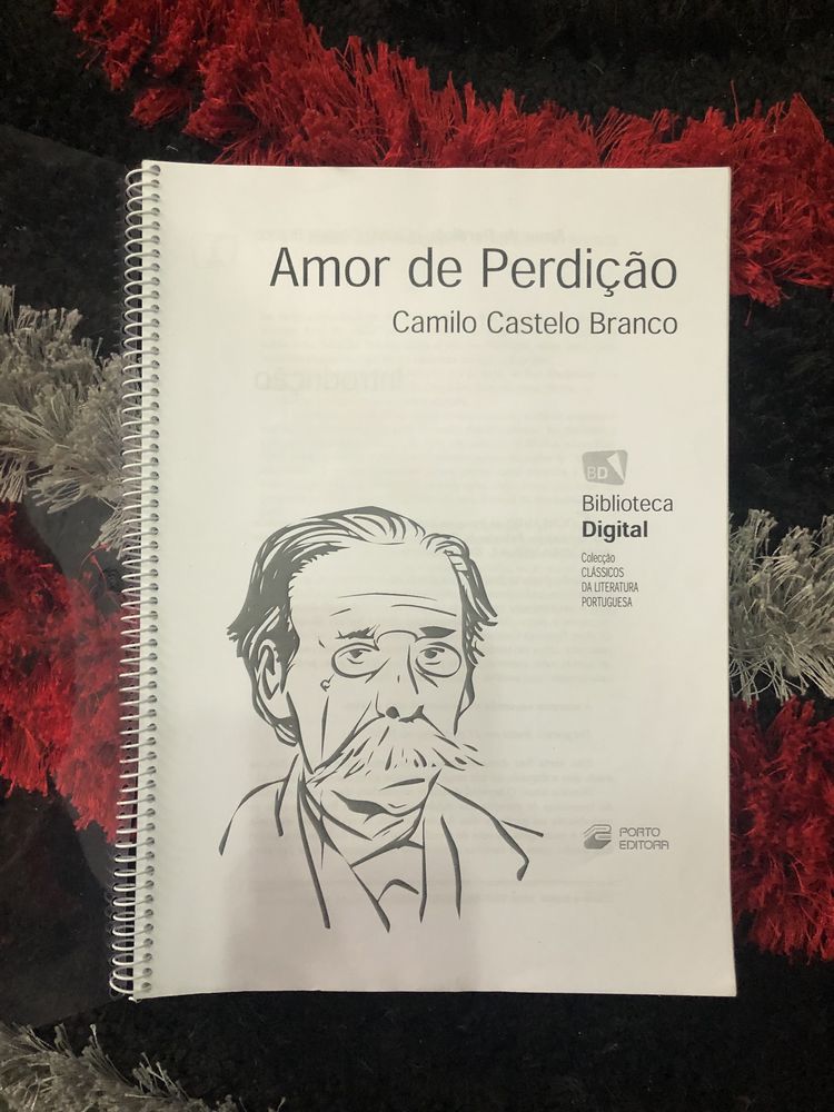 Vendo livro Novo- Amor de Perdição