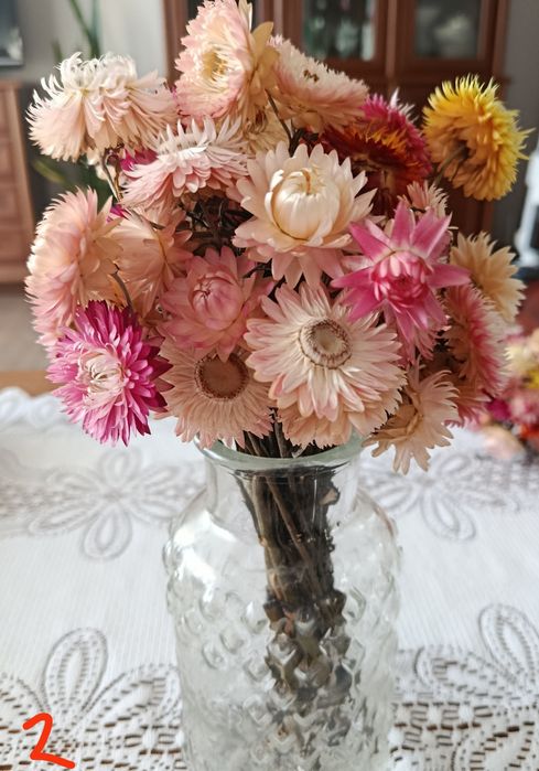 Suszone bukiety kocanki