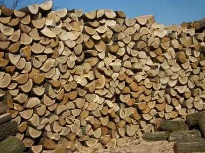 Drewno kominkowe i opałowe - Transport