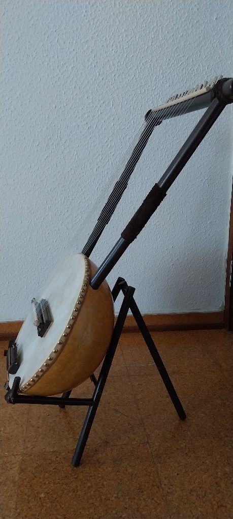 Lira, um instrumento musical,  15 cordas
