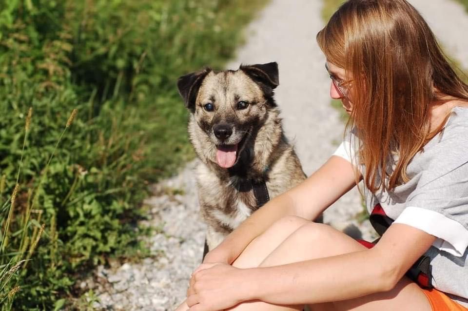 Milo ponad 12 lat czeka na rodzinę