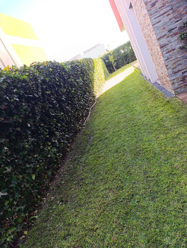 Serviços de jardim