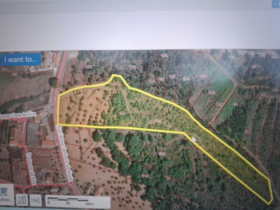 Quinta urbana (520m2) e rustica (26970m2) em Ceras / Tomar