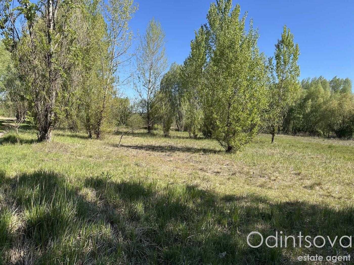 Земельна ділянка з власним озером у с. Застугна, Васильківський район