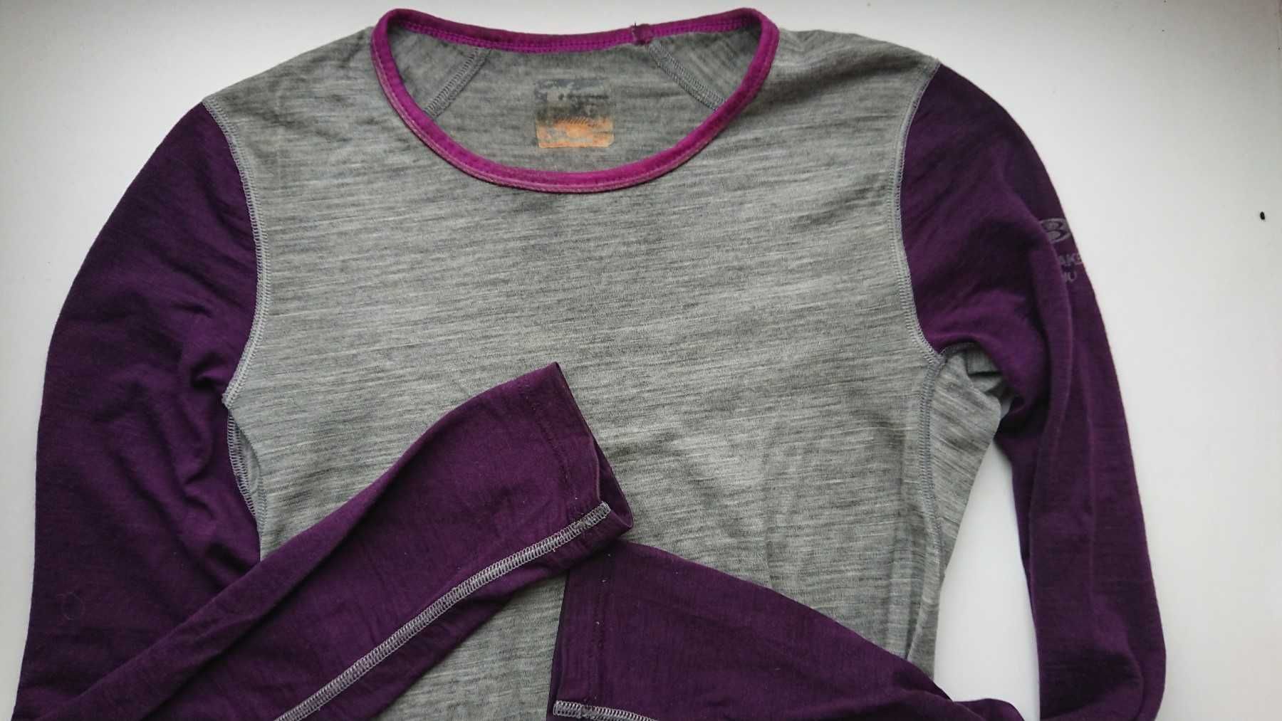 Термореглан Icebreaker BodyFit 200 Oasis Merino. 100 % шерсть мериноса