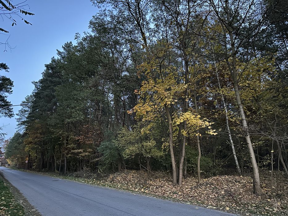 Ostrowiec Św. Działki Budowlane ul.Folwark Piaski i Las Rzeczki 1500m2