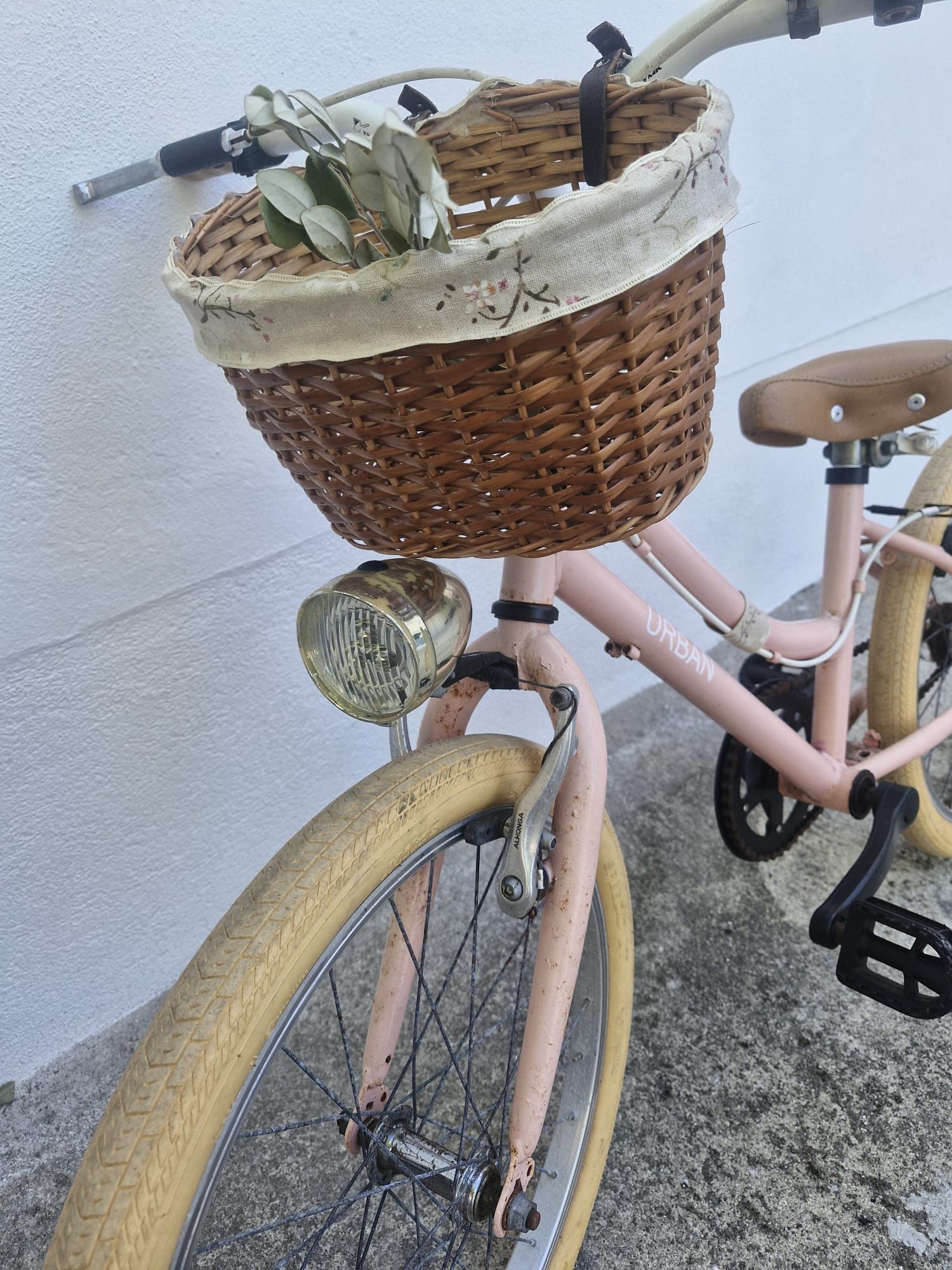 Bicicleta criança estilo vintage