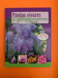 Plantas Vivazes & Arbustos Ornamentais