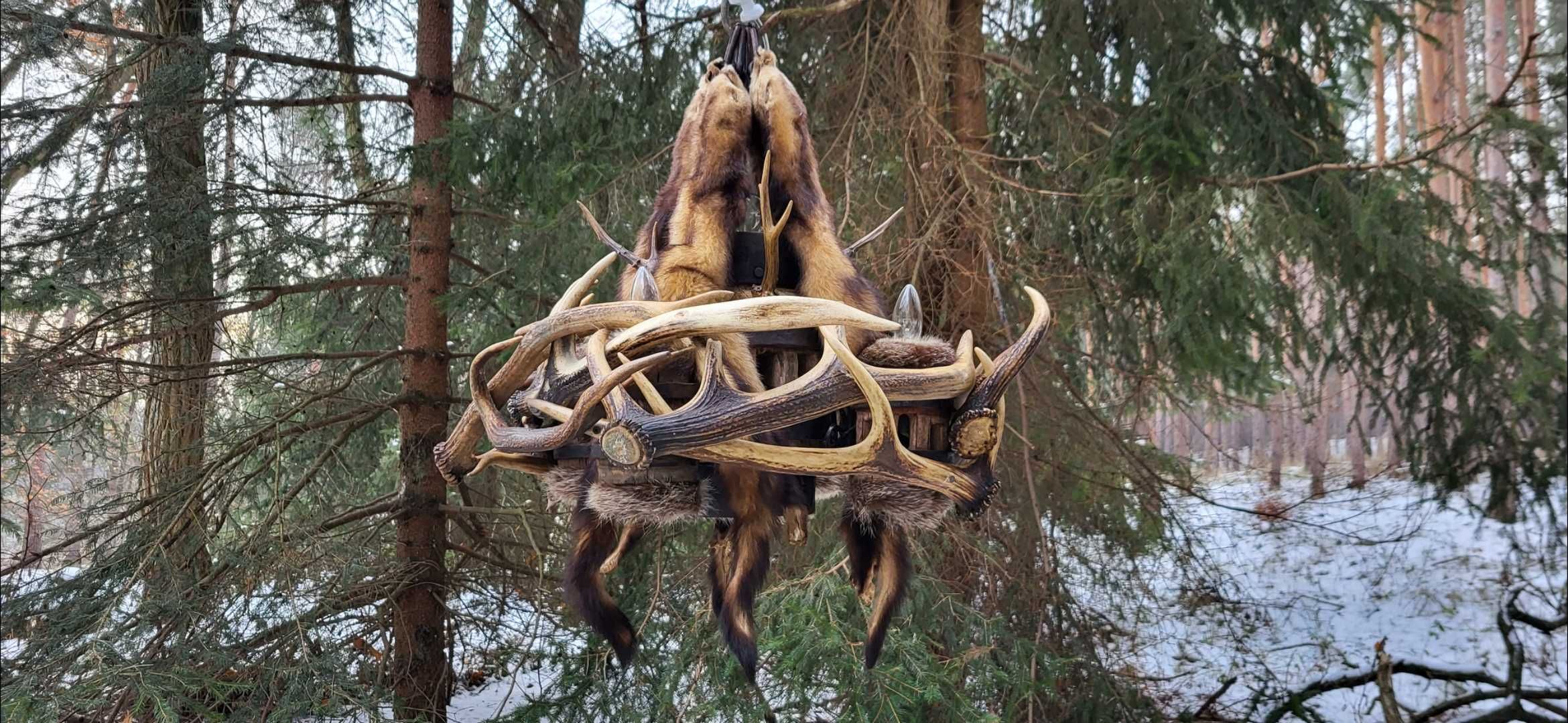 Piękny duży żyrandol z poraża jelenia  na piastach kół od karety