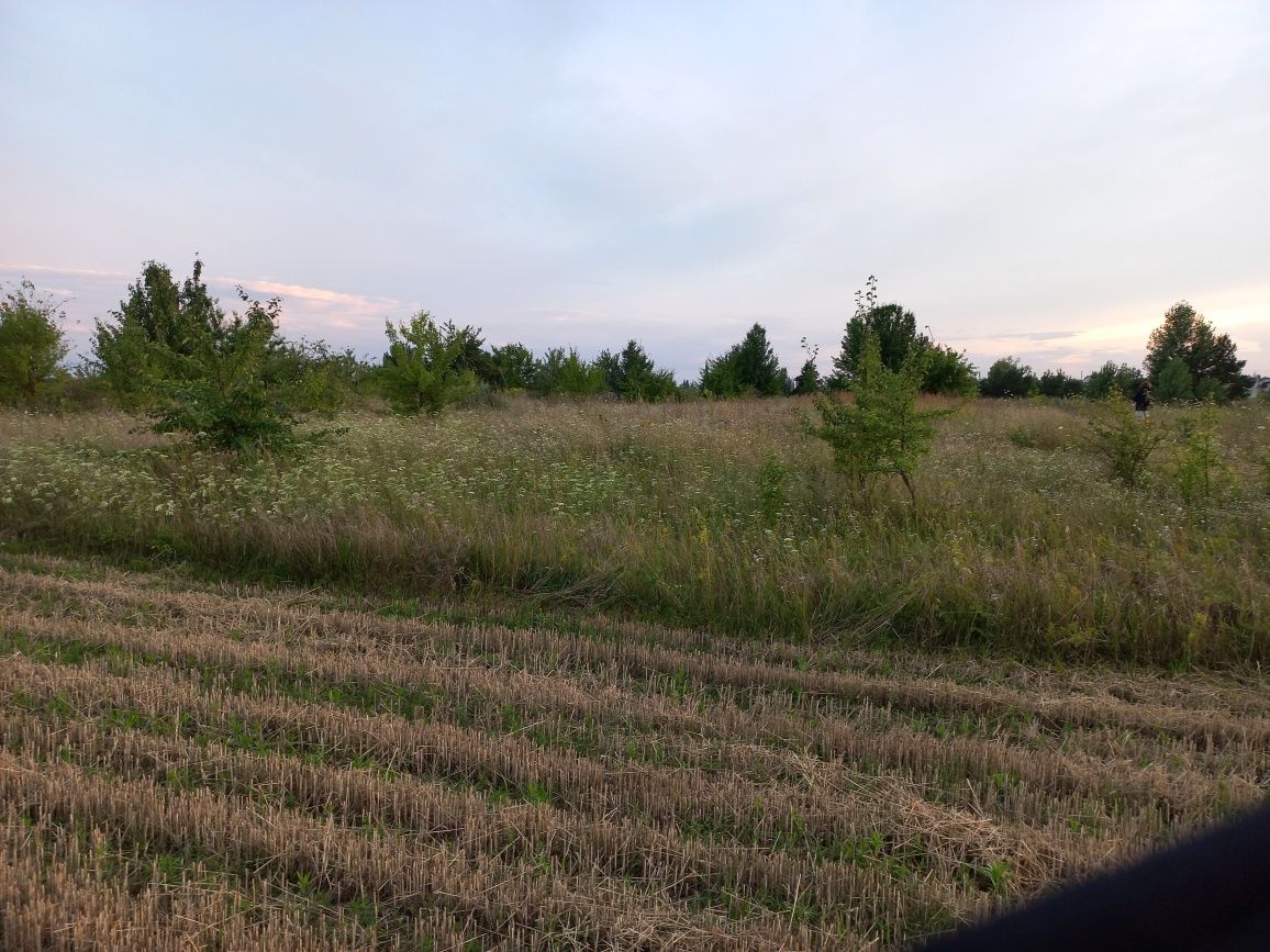 Земельна ділянка під будівництво, Брусилів,