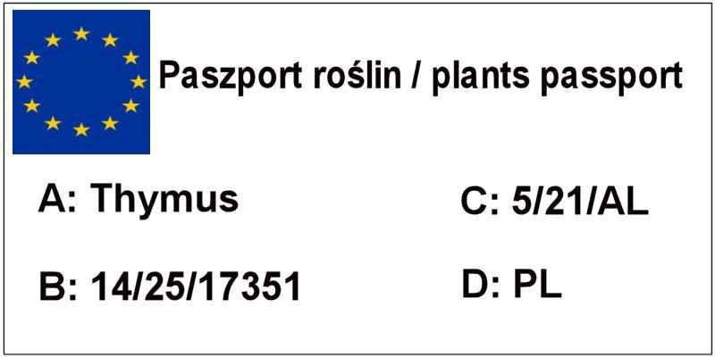 Tymianek różne odmiany, Tymianek cytrynowy