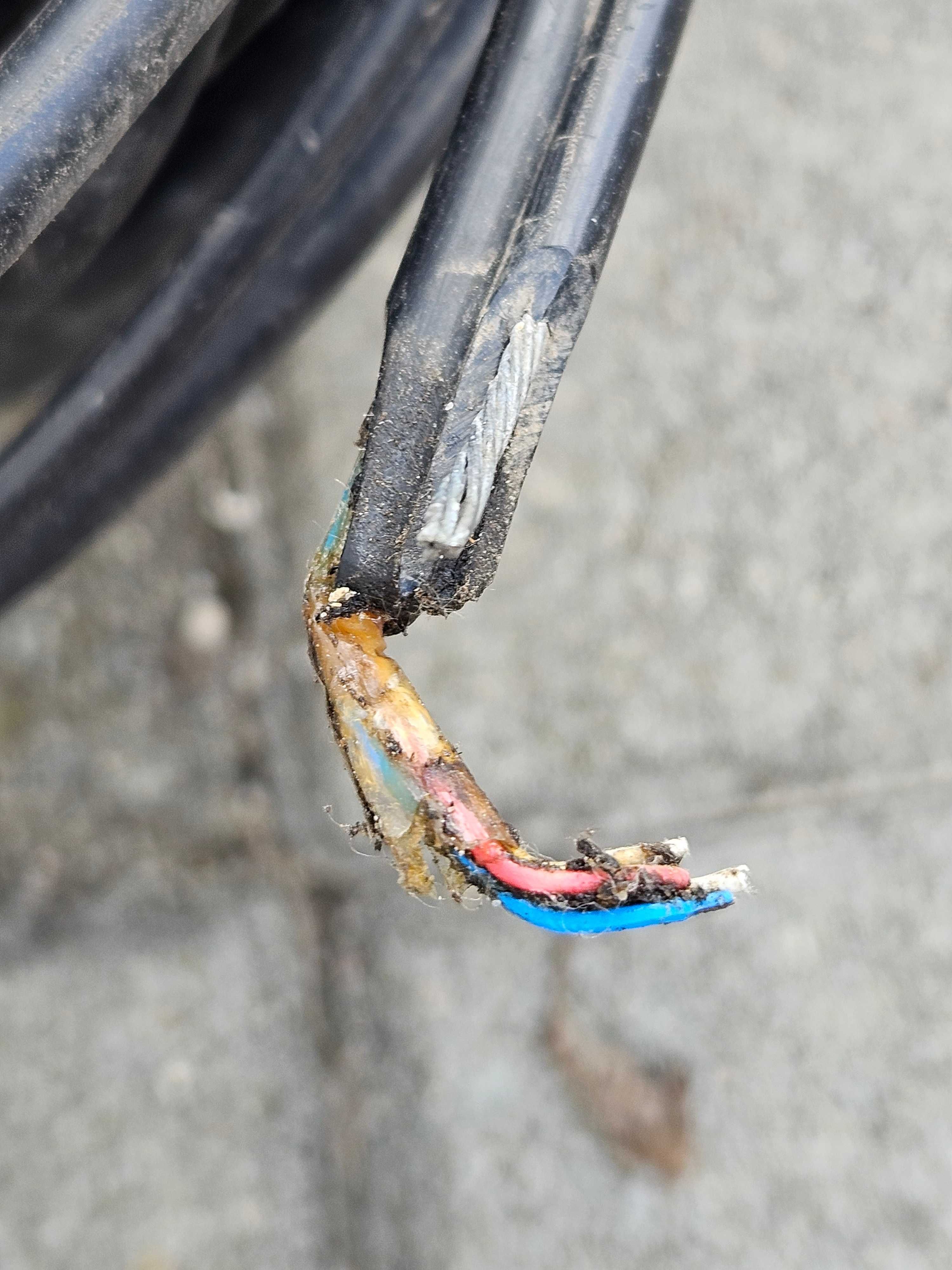 linka stalowa powlekana - stary kabel telefoniczny