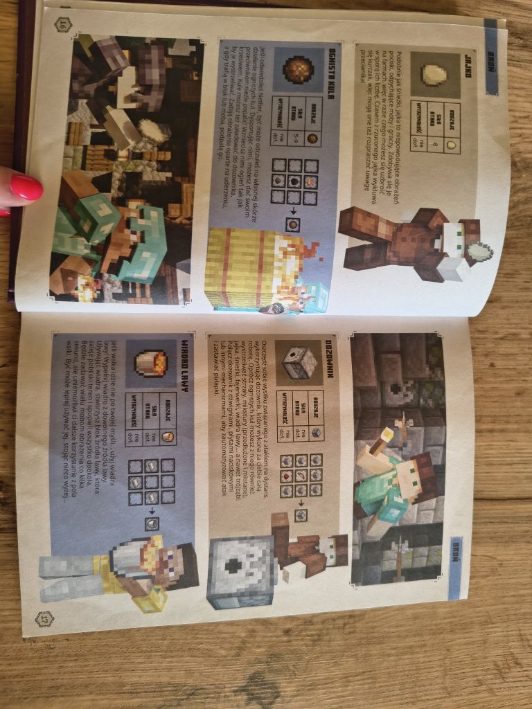 Książka Minecraft Podręcznik Wojownika