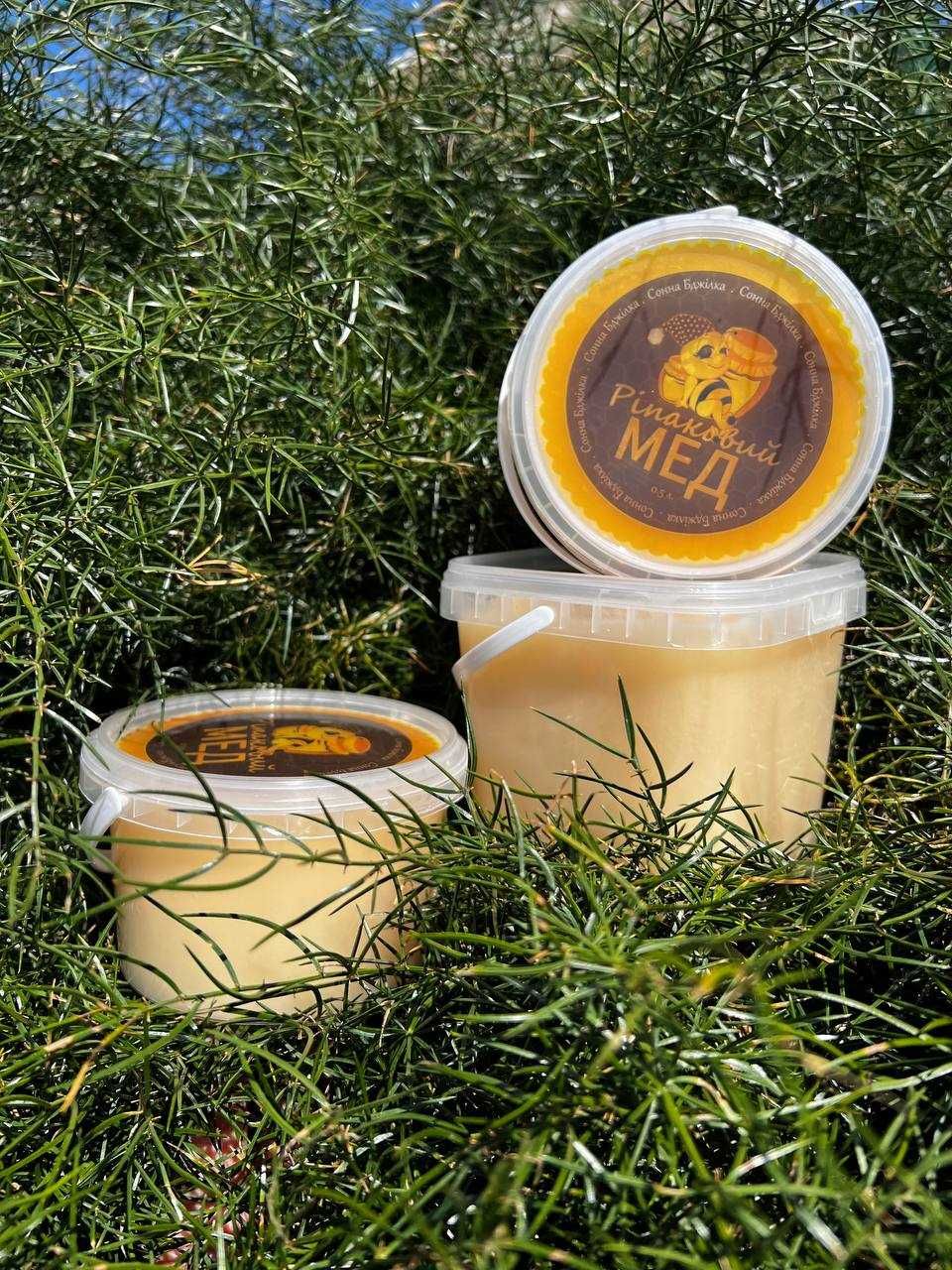 Мед з власної пасіки, соняшниковий та ріпаковий мед