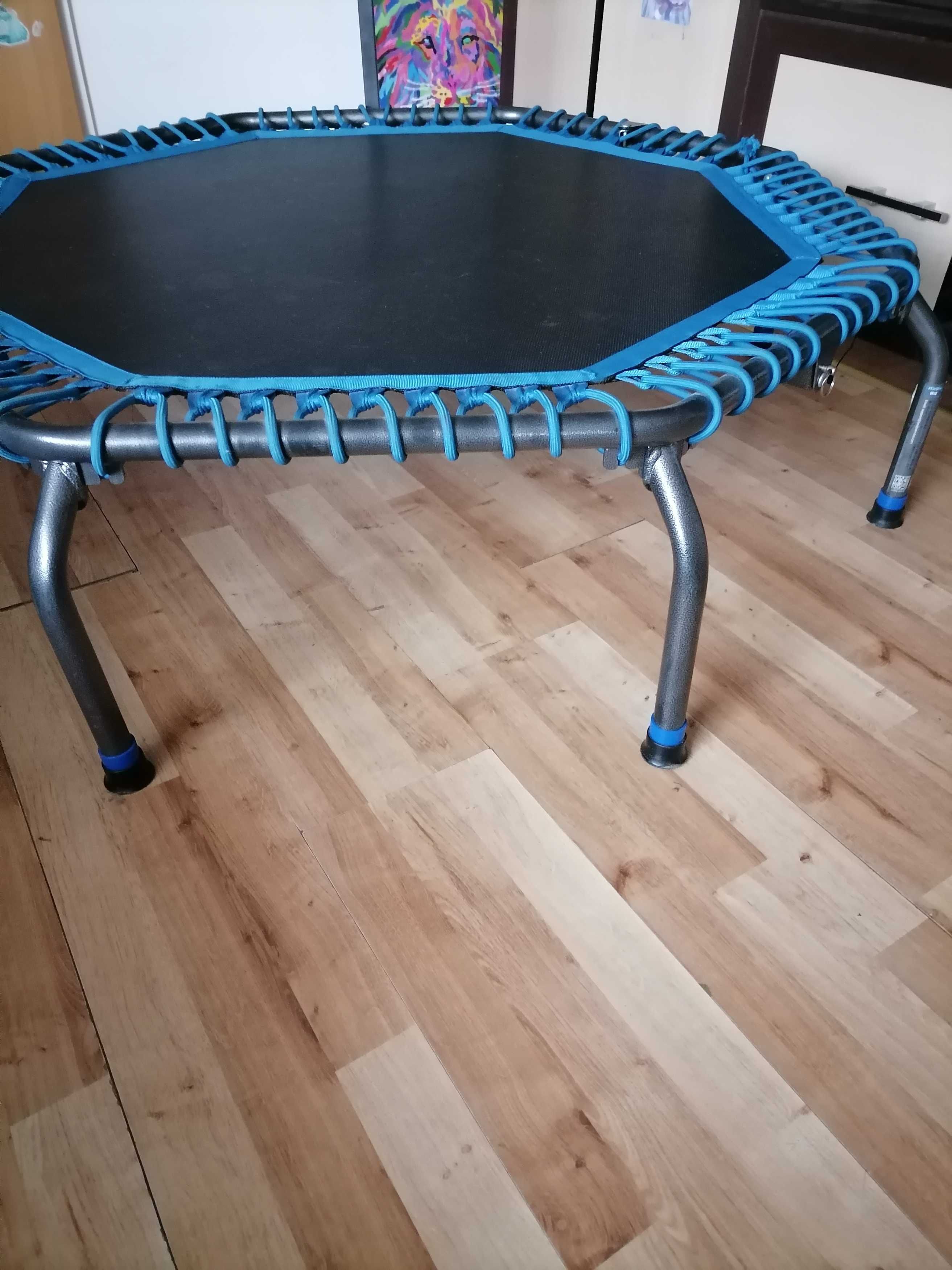 Trampolina domowa