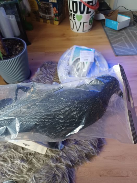 Wrona ozdoba na balkon