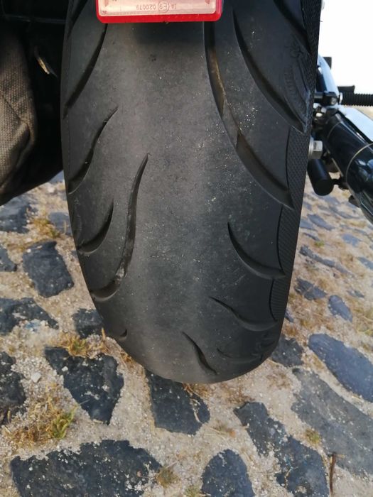 Harley davidson softail