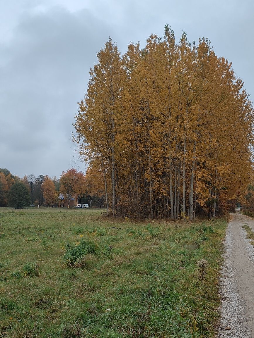 Działka budowlana Bolesławek gm. Żabia Wola