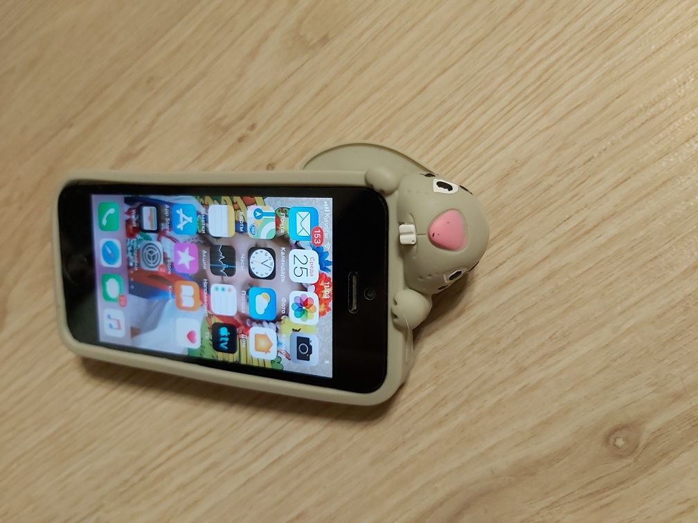 iPhone 5S /64 Гб с двумя чехлами