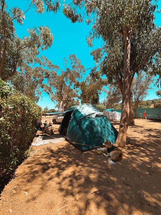 Tenda de campismo com varetas - ARPENAZ 4.2 - 4 pessoas - 2 quartos