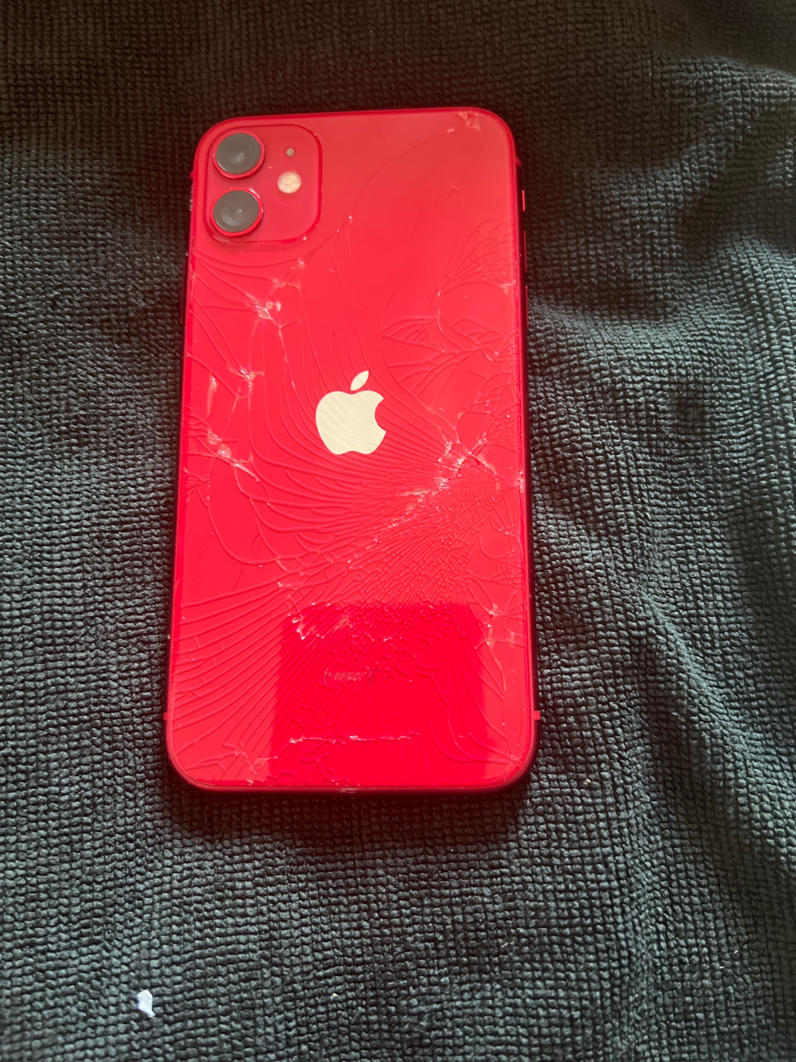 iPhone 11 czerwony