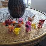 Littlest Pet Shop 

Dla fanów -kultowych zwierzątek Littlest