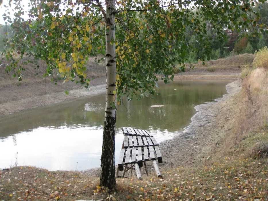 Продаж землі.Брусилів.Київ.Житомир.Радомишль.Макарів.Область.Траса.Е40