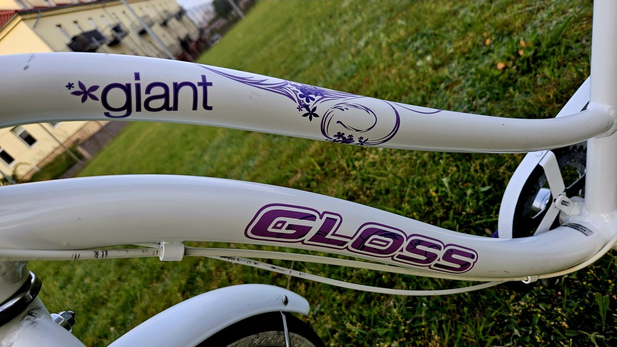 Rower Giant Gloss