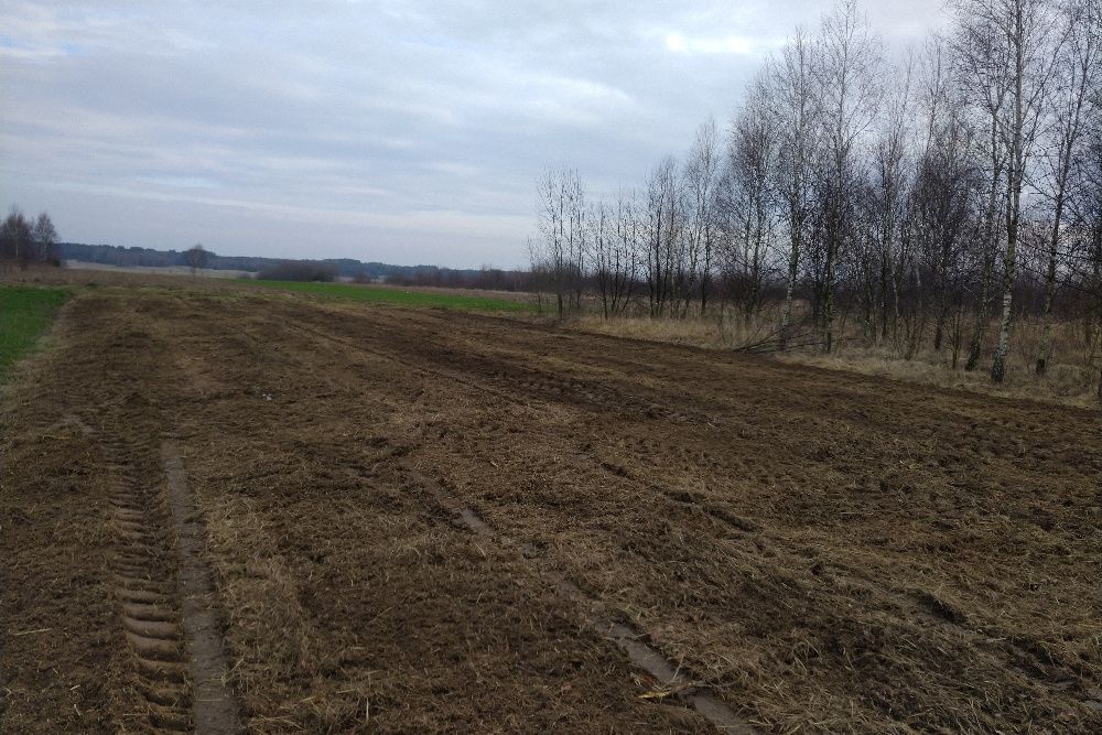 Koszenie łąk,nieużytków.Mulczer leśny-oczyszczanie terenu itp...